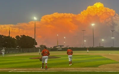 Redbirds’ Undefeated Streak Ends in Heartbreaking Championship Loss